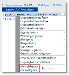GB_AnsichtLiegenschaft3