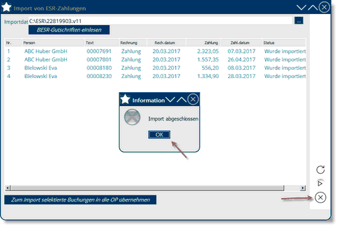 Hilfsmittel_Sonstiges_Import-ESR-Zahlungen_5