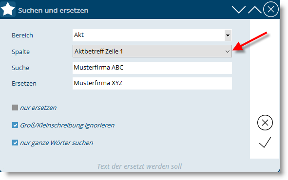 BAS_Suchen und Ersetzen der Aktbeschreibung-Aktbetreff_3