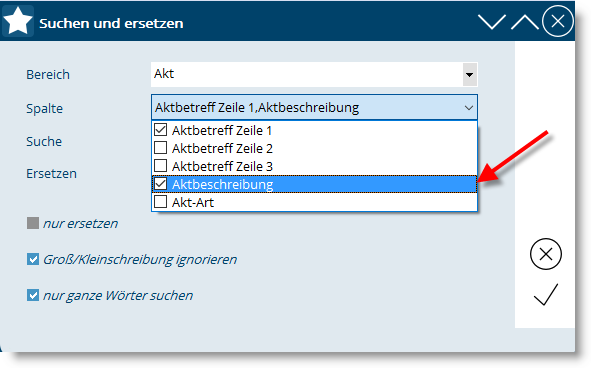 BAS_Suchen und Ersetzen der Aktbeschreibung-Aktbetreff_4